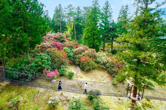大自然に囲まれた「空中の村」の網吊り橋。体をほぐしながら空中散歩。